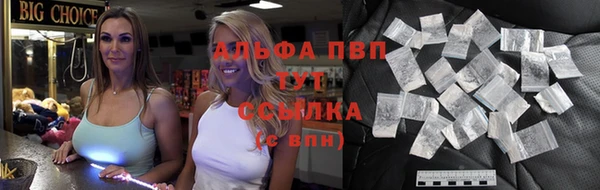 apvp Алзамай